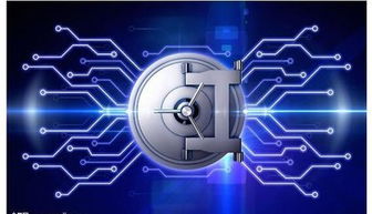 虛擬服務器 網絡與信息安全軟件開發的基礎